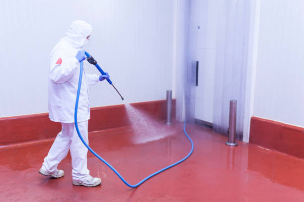 Best Factory Floor Cleaning  in Blaine, MN