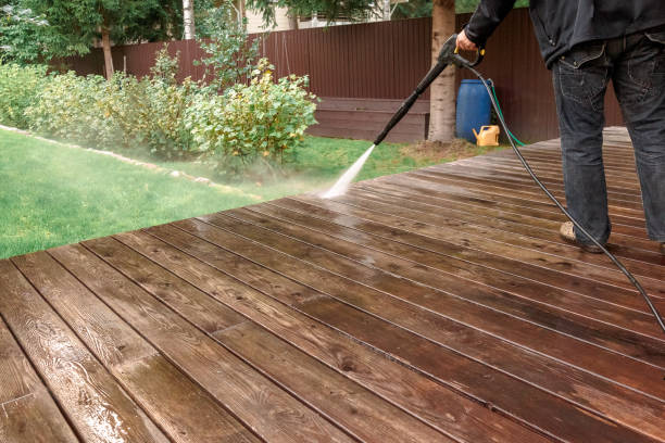 Best Soft Washing  in Blaine, MN