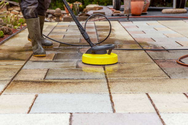 Best Fence Cleaning  in Blaine, MN